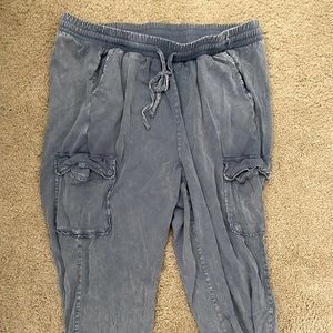 NWOT Torrid Size 2 Denim Wash Jogger